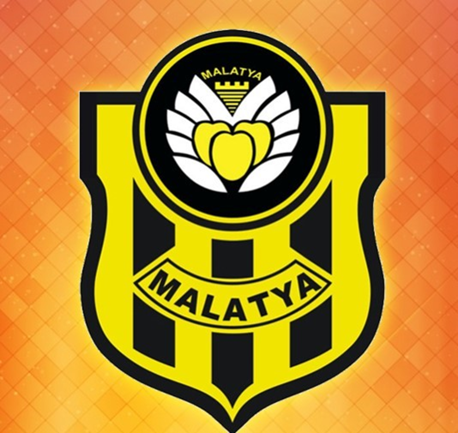 Yeni Malatyaspor'a 112 bin TL ceza kararı