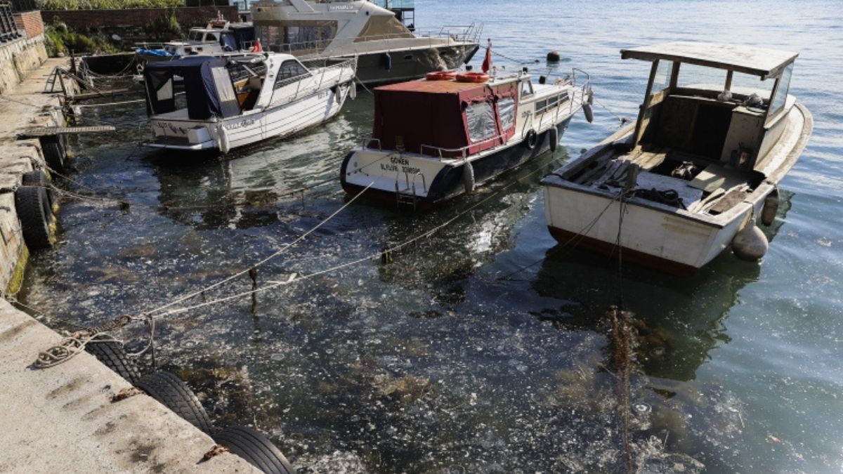 Balıkçılara devletten destek! Müsilaj görülen yerlerde geçerli
