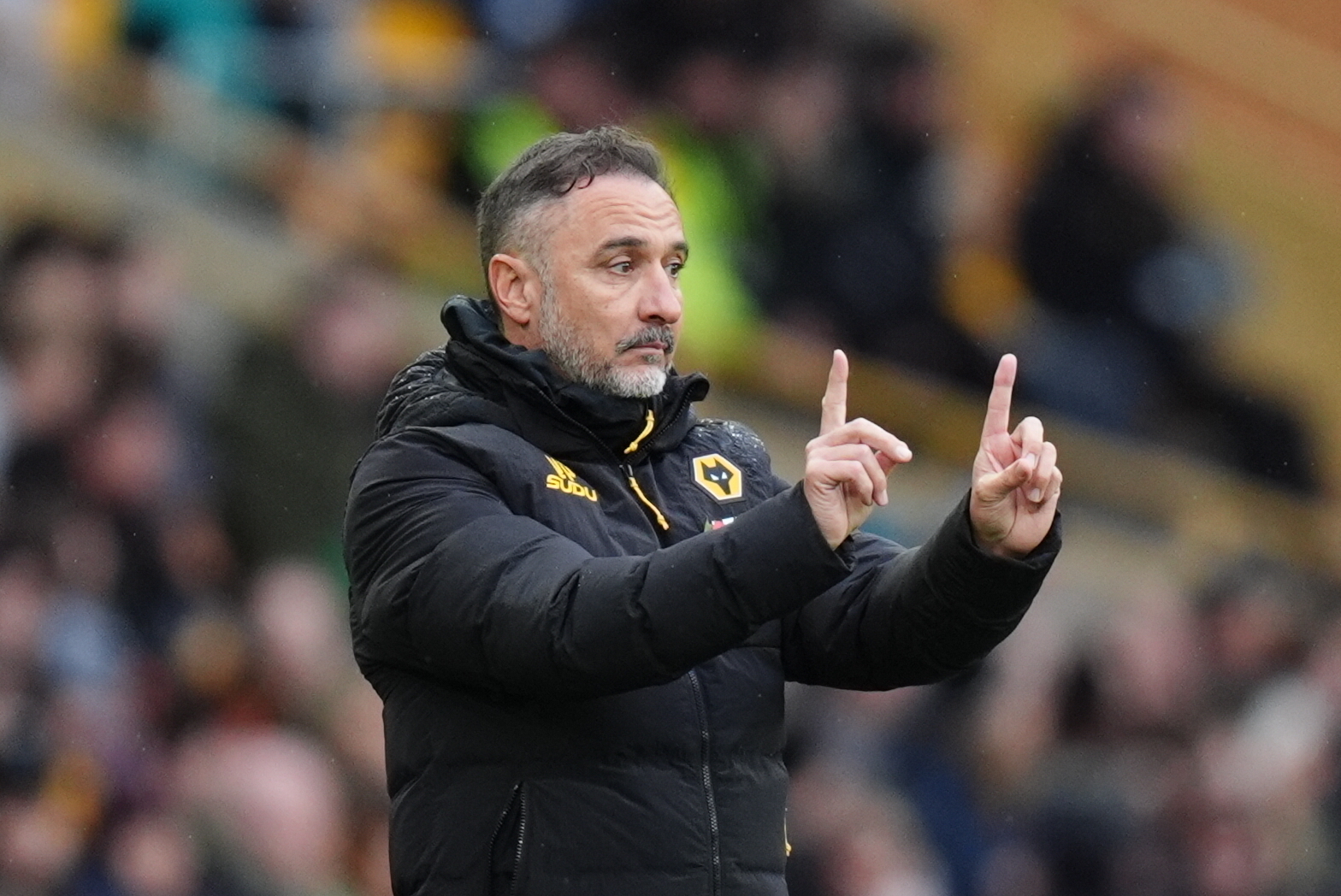Wolverhampton'da Vitor Pereira dönemi sona erdi