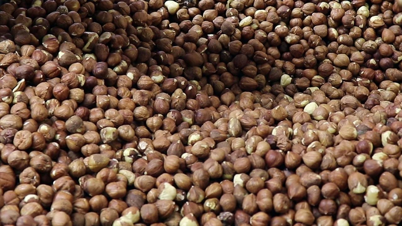 Turčija z izvozom lešnikov v dveh mesecih zaslužila 351 milijonov dolarjev