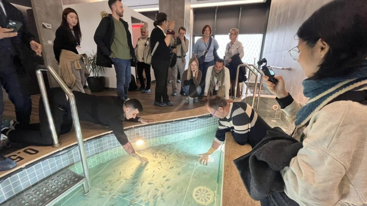 Alman turistler Bursa'ya akın ediyor! 