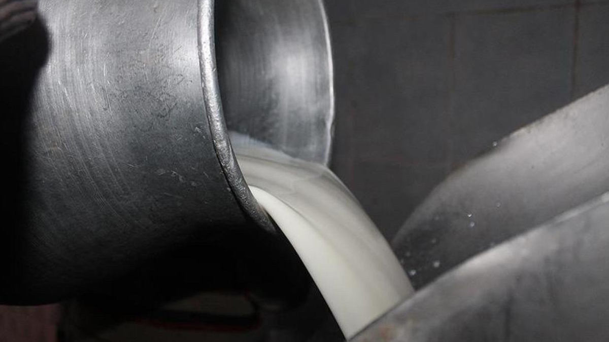 Turčija prenovila merila za kakovost surovega mleka