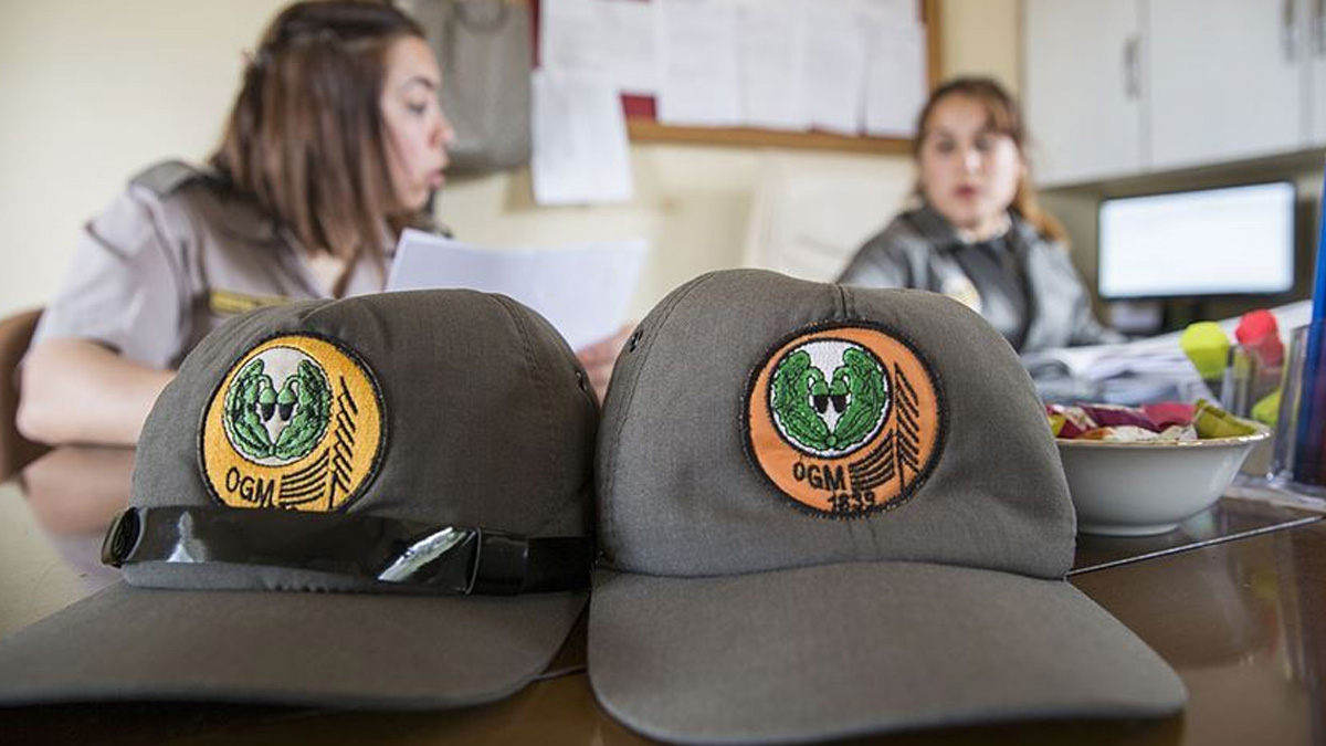 Turško ministrstvo za kmetijstvo in gozdarstvo bo zaposlilo 496 ljudi