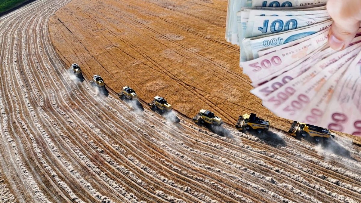 Bakanlıktan çiftçiye can suyu! 1 milyar liralık destek bugün hesaplarda