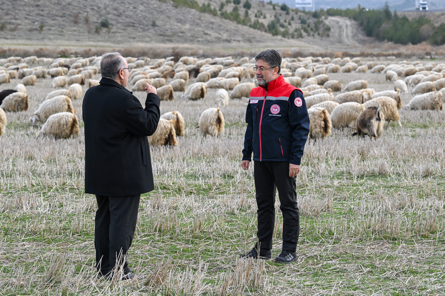 Tiftik için yeni dönem: Özel destek geliyor