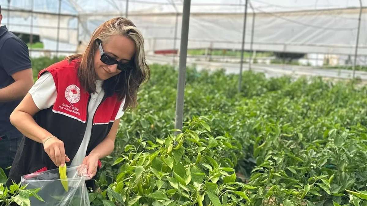 Sürdürülebilir tarım için "B-Reçete" dönemi! 4 ilde başlıyor