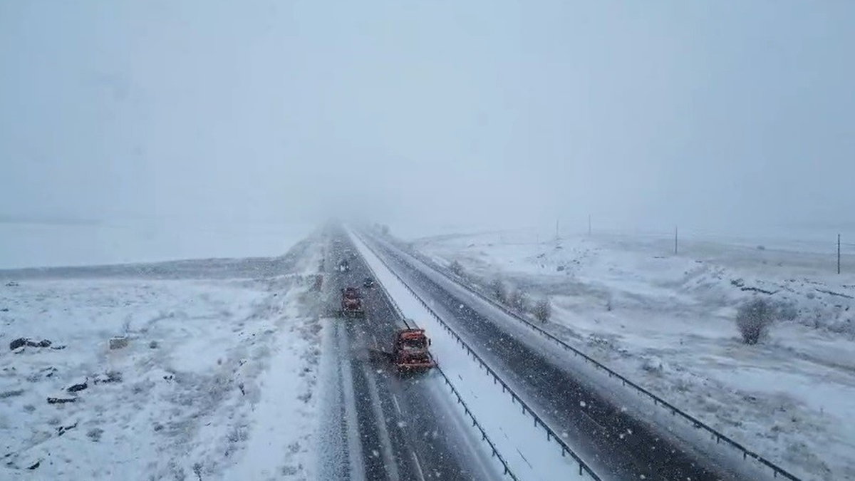 Turuncu kaplanlar "kar" mesaisinde