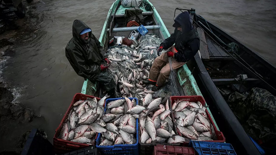 Balıkçılıkta zirve Türkiye'nin! Avrupa'ya örnek olduk