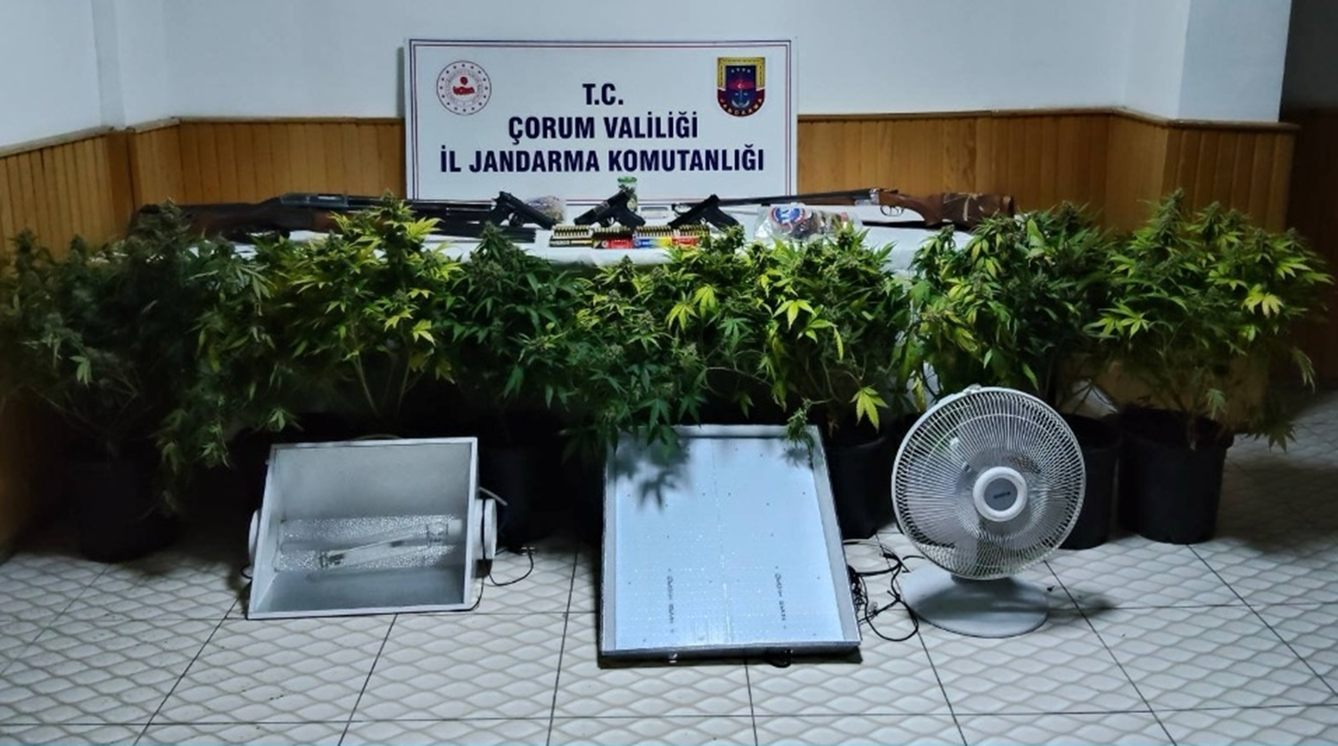 Çorum'da uyuşturucu bitkisi operasyonu: 4 kişi gözaltına alındı