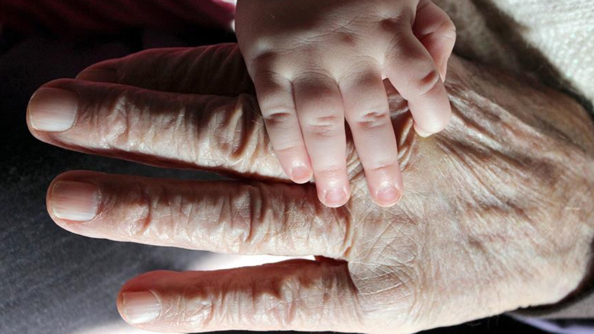 Bilim insanları yaşlanmayı yavaşlatmanın sırrını buldu: Cevap mitokondrilerde...