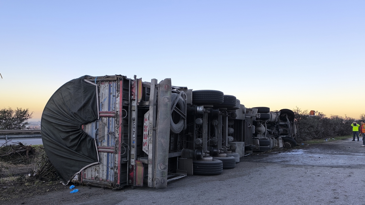 Tır kazasında can pazarı: 2 kişi öldü, yola saçılan hayvanlar kazalara yol açtı