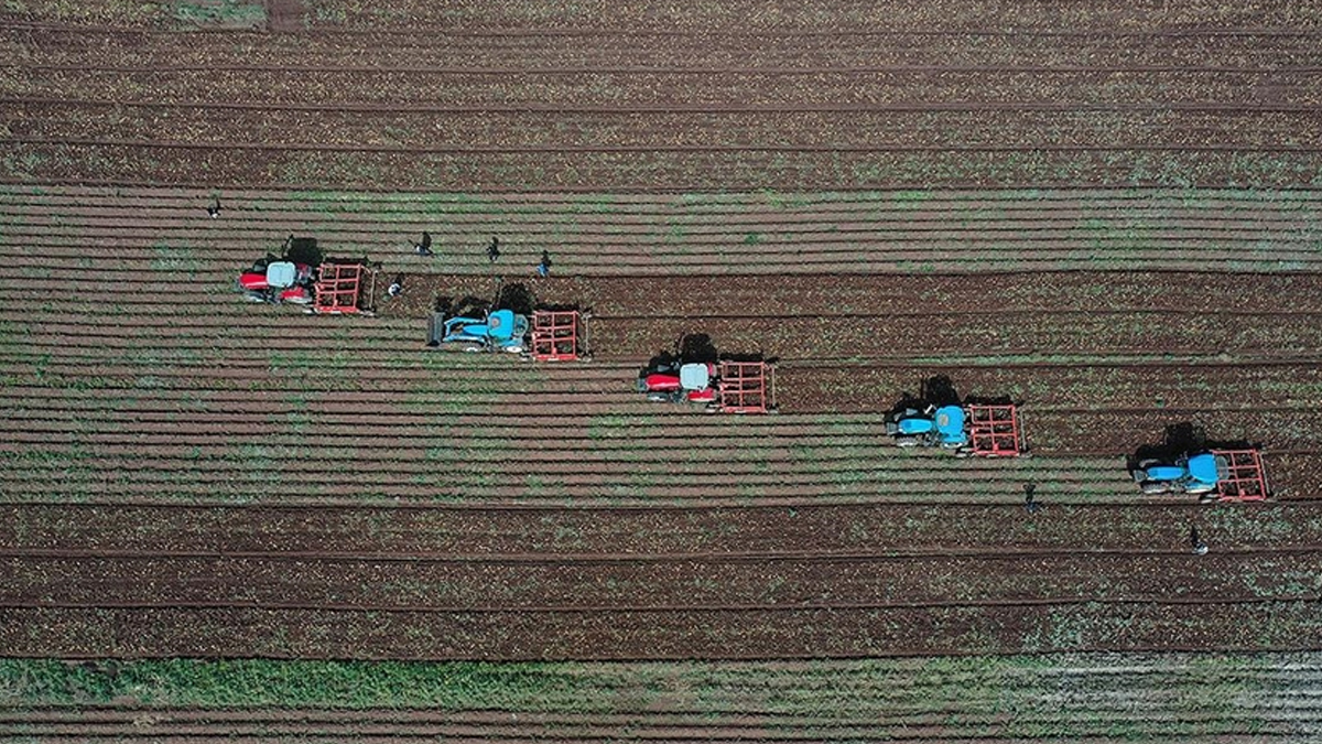Turško ministrstvo za kmetijstvo bo s 100-odstotnimi nepovratnimi sredstvi podprlo podeželje