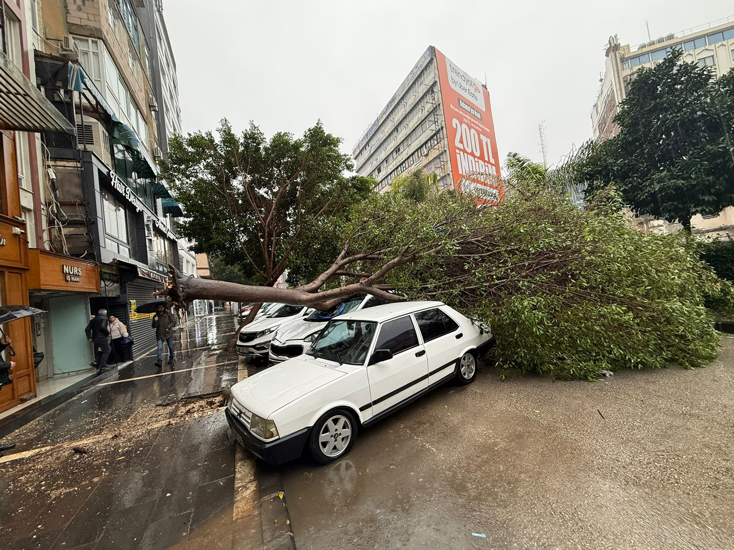 Adana'da sağanak ve fırtına alarmı: Ağaçlar devril, yollar göle döndü
