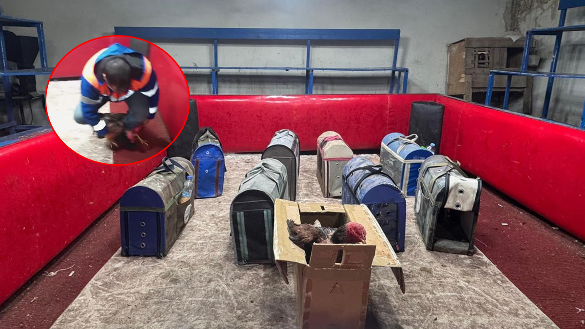 Polis, temizlikçi kılığına girdi: Kumarı enseledi