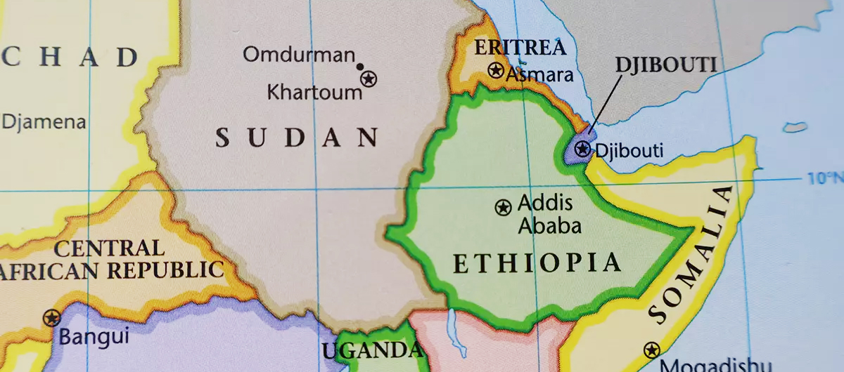 Türkiye'nin Afrika Boynuzu stratejisi