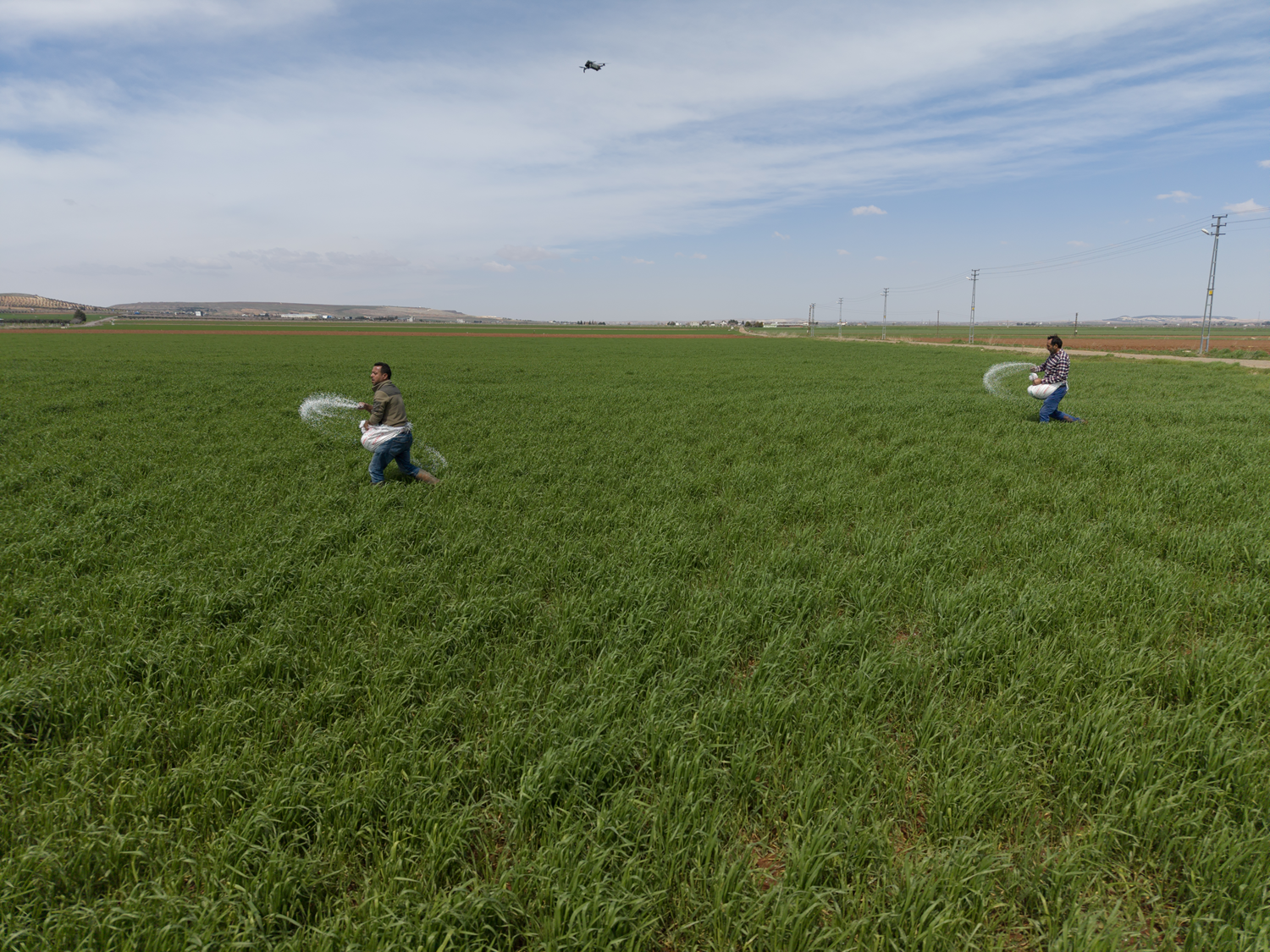 Gaziantepli çiftçiler yağışların ardından mesaiye başladı