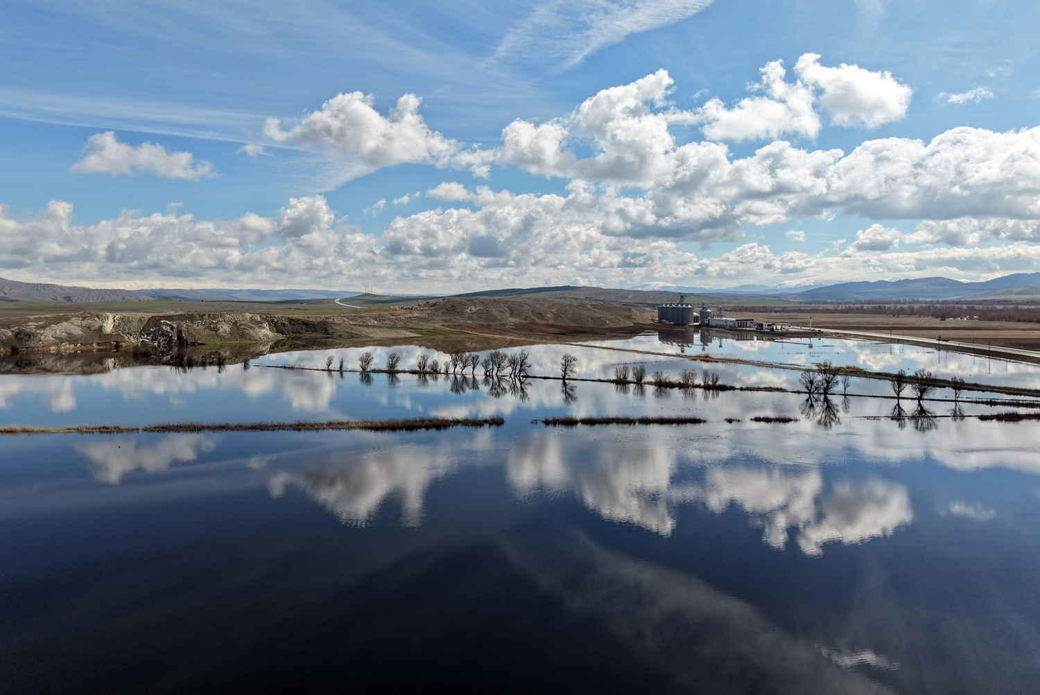 Sivas'ta yağmurun ardından oluşan birikintiler kuşların durak noktası oldu
