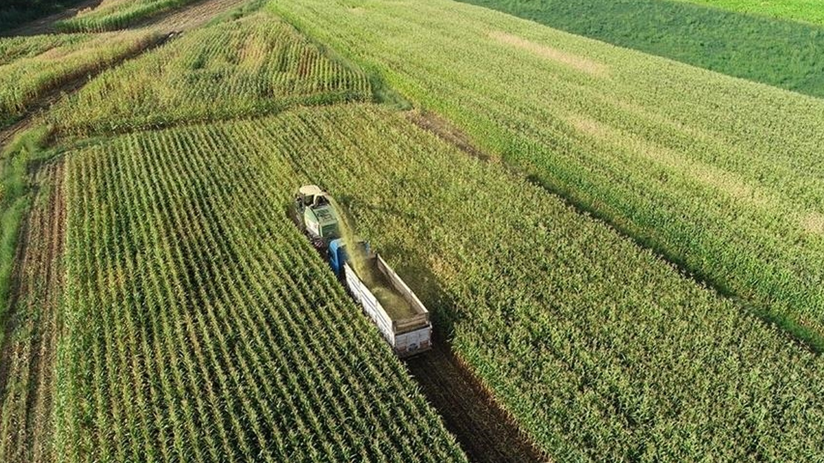 Proje üst limiti 30 milyon TL olarak belirlendi! Yatırımcıya hibe desteği sağlanacak