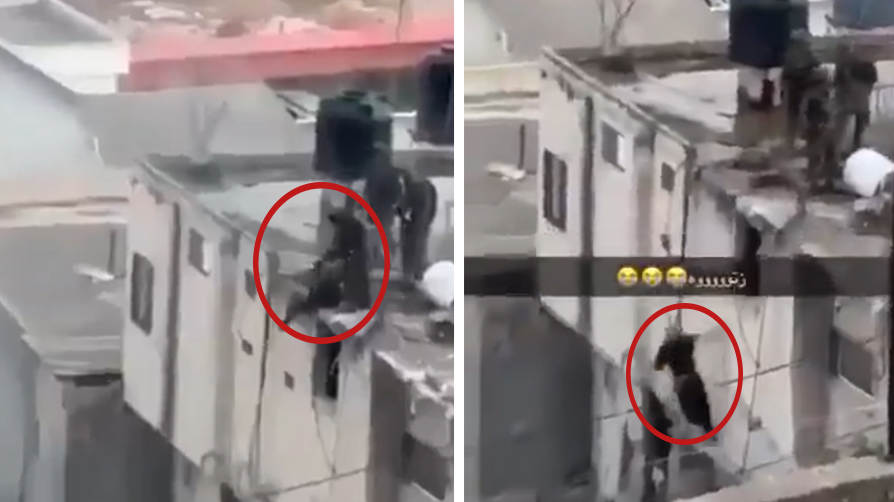 Devlet başkanı İsrail vahşetini dünyaya ifşa etti! Katiller rahatsız oldu