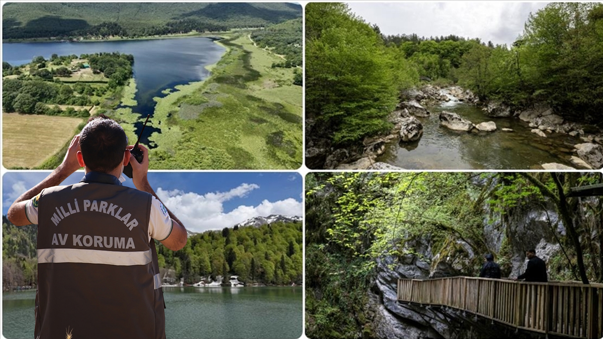 Milli Parklar uzmanlığı için yeni dönem! Sınav ve atama şartları değişti