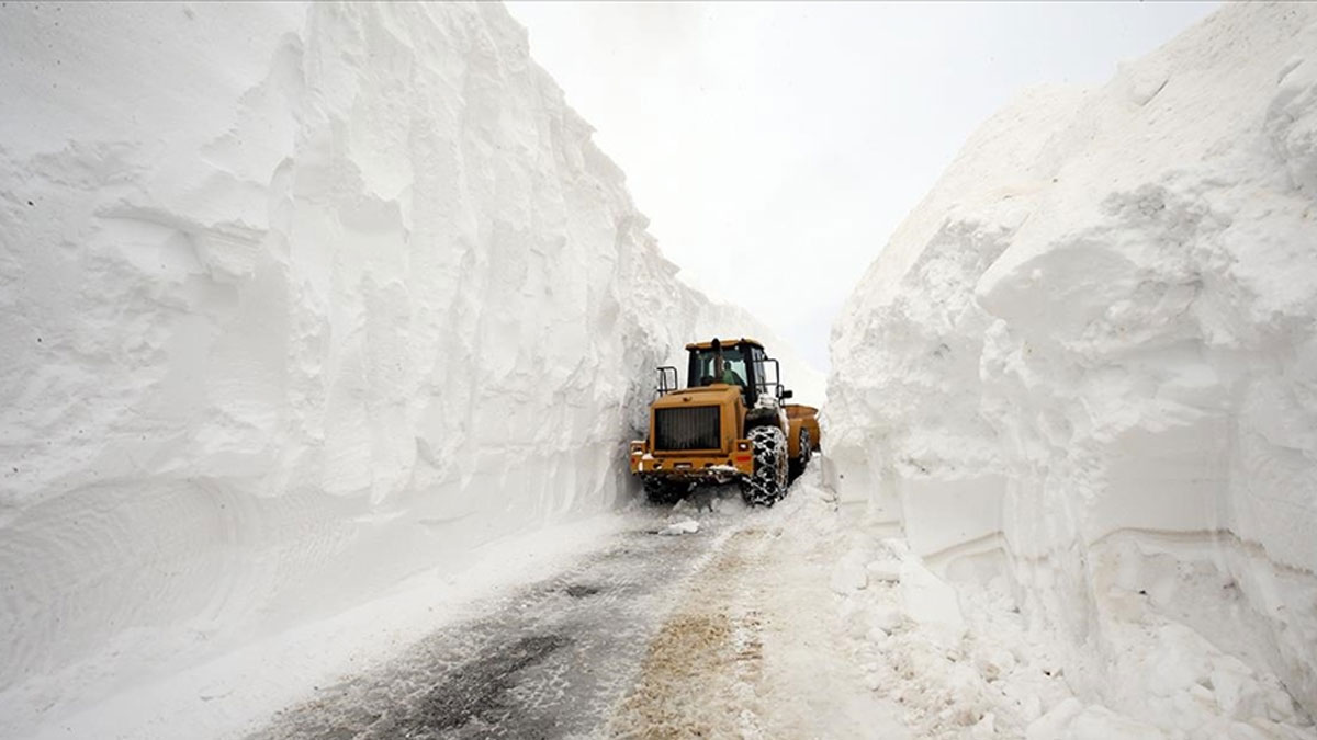 Nisan ortasında kar esareti: Karayolları ekipleri 50 canı tipinin elinden çekip aldı