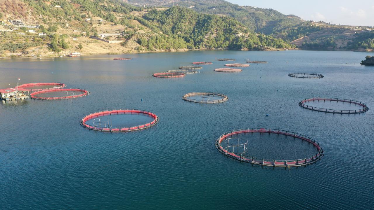 Türkiye'den 22 ülkeye ihracat: 3 ayda 85 milyon doları aştı