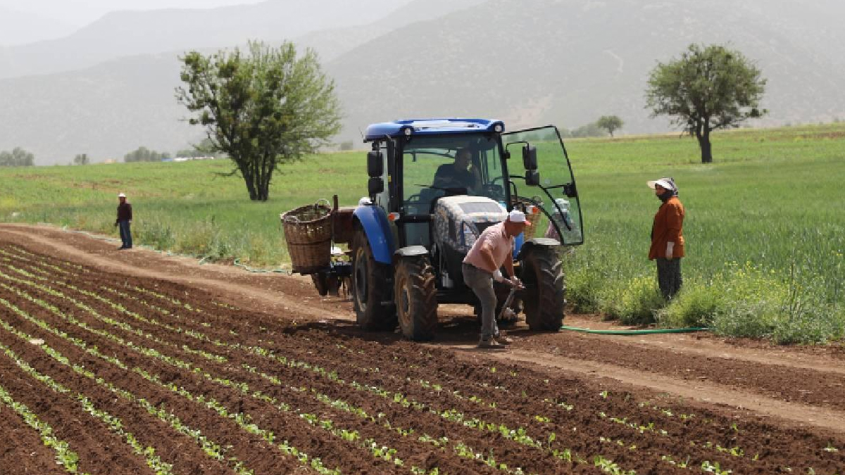 Toplam 350 milyon 968 bin lira! Çiftçilere tarımsal destekleme ödemesi yapılacak