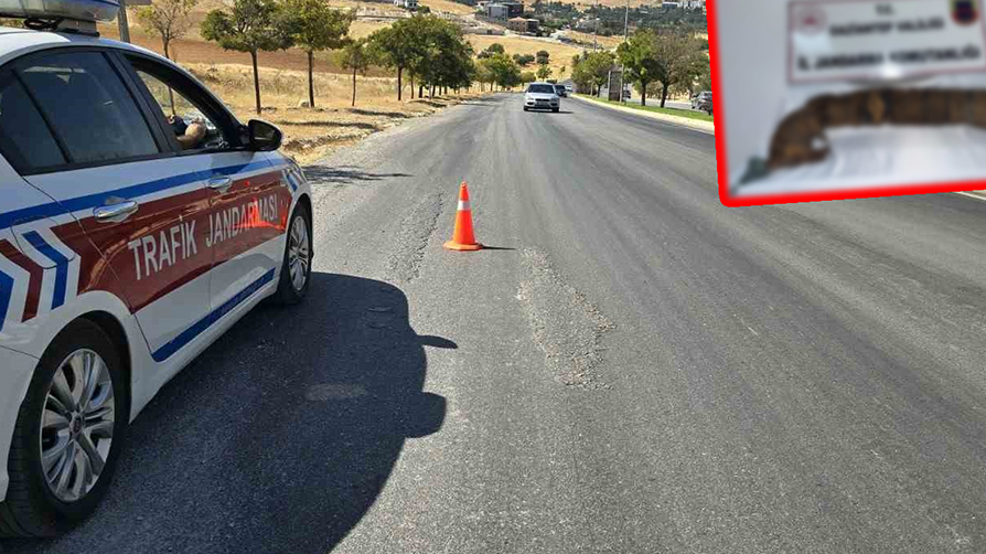 Gaziantep'te bulundu: Değerine paha biçilemiyor! Araçtan çıkanlar hayrete düşürdü