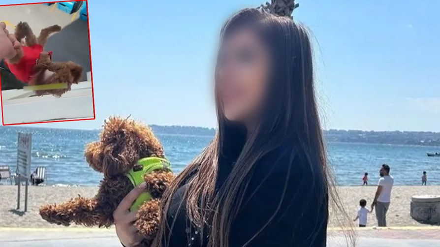 Sosyal medyayı ayağa kaldıran görüntüler... Köpeğe işkence etti, savunması 'pes' dedirtti