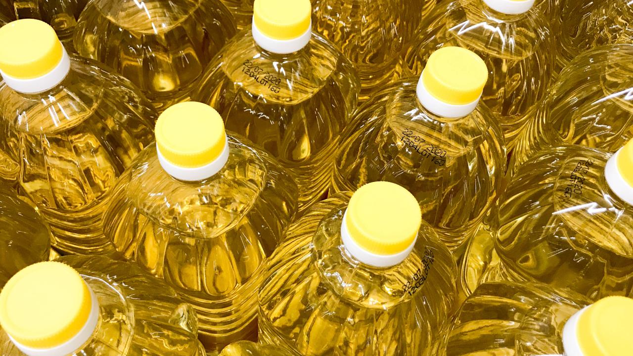 93 ülkeye Türk imzası: Ayçiçeği yağı ihracatında büyük sıçrama