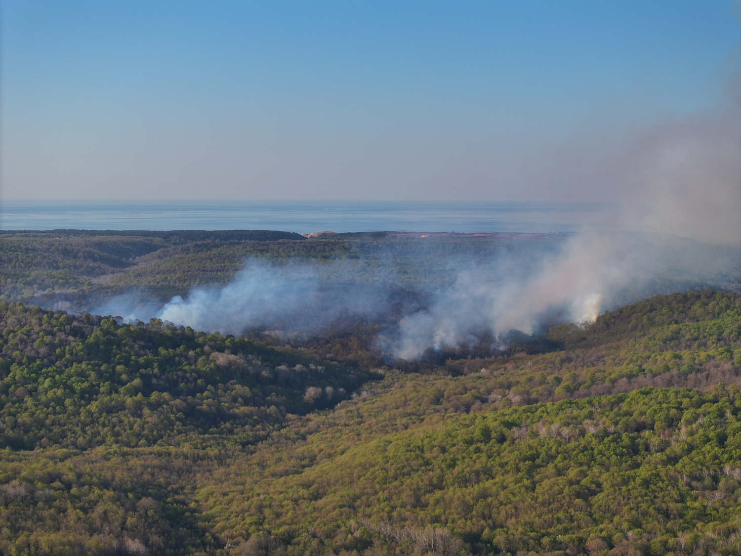 Çatalca ve Beykoz'da orman yangını: Ekipler seferber oldu