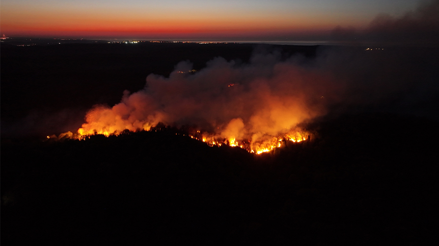 Rüzgarın etkisiyle tekrar yayıldı! Beykoz'daki orman yangınına ilişkin Valilikten açıklama