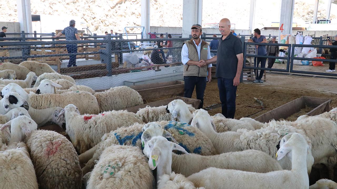 Kurban pazarında hareketlilik: 100 binden 700 bine kadar fiyat değişiyor