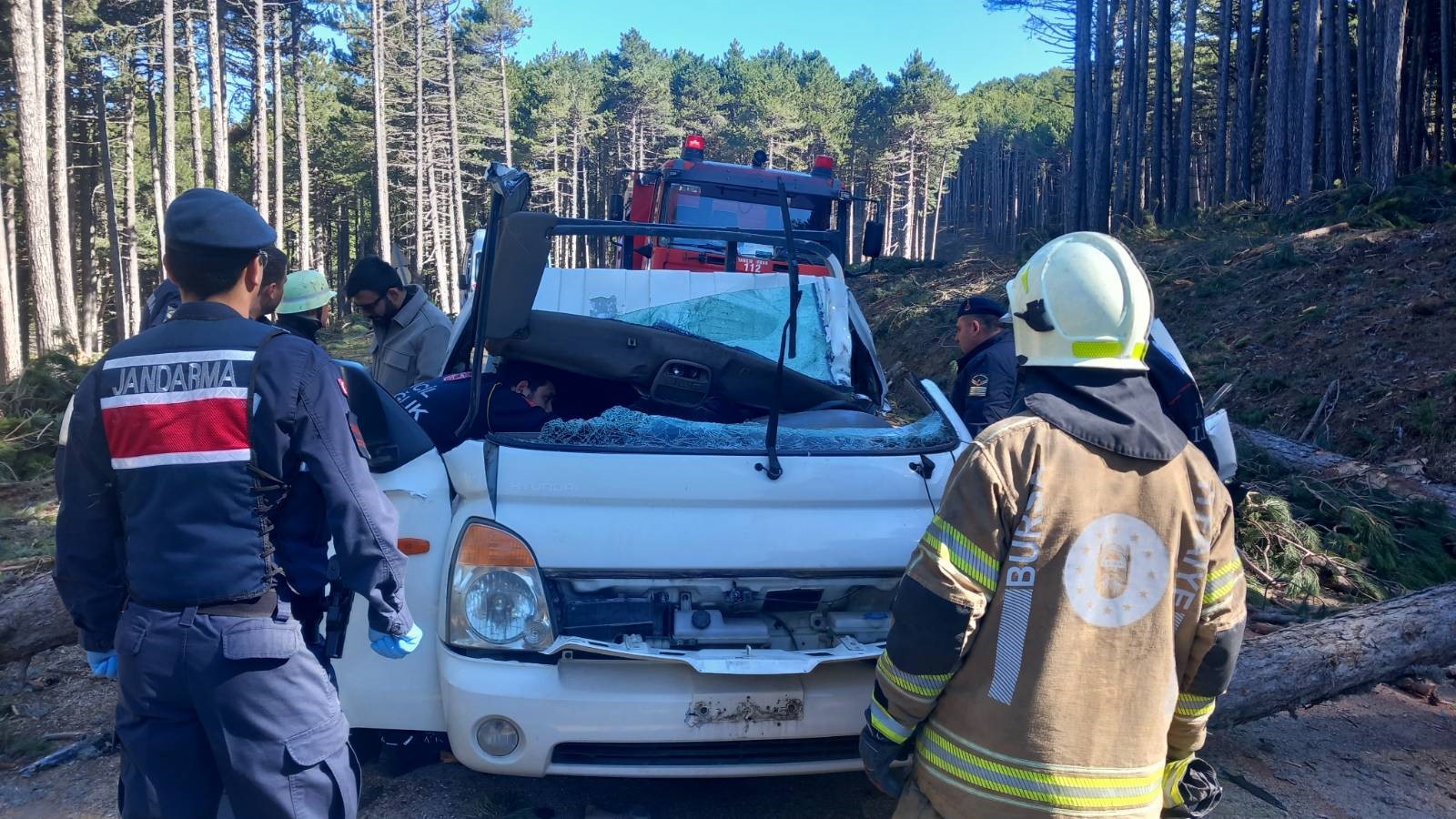 Uludağ'da feci olay! Kesilen ağaç kamyonete devrildi: 1 ölü