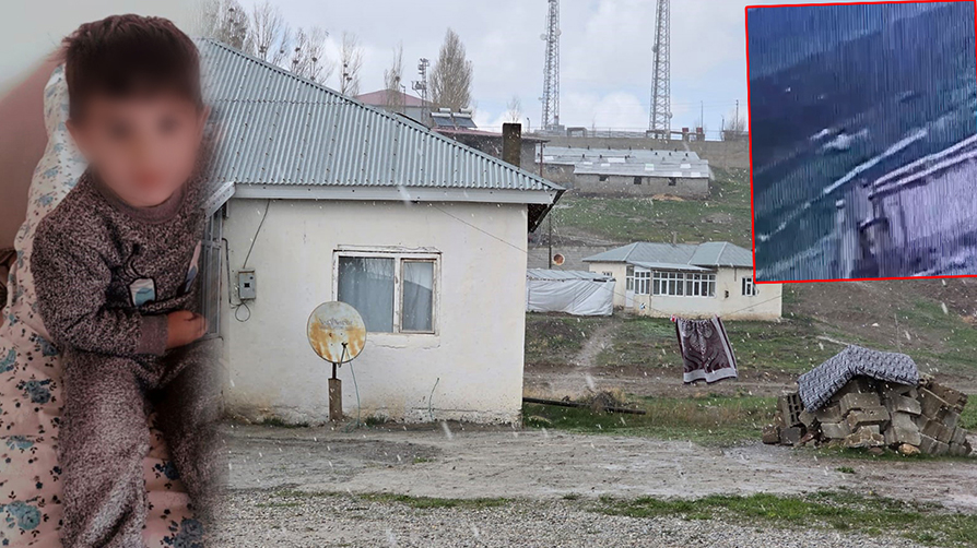 Van'da başıboş köpek dehşeti! O anlar güvenlik kamerasında