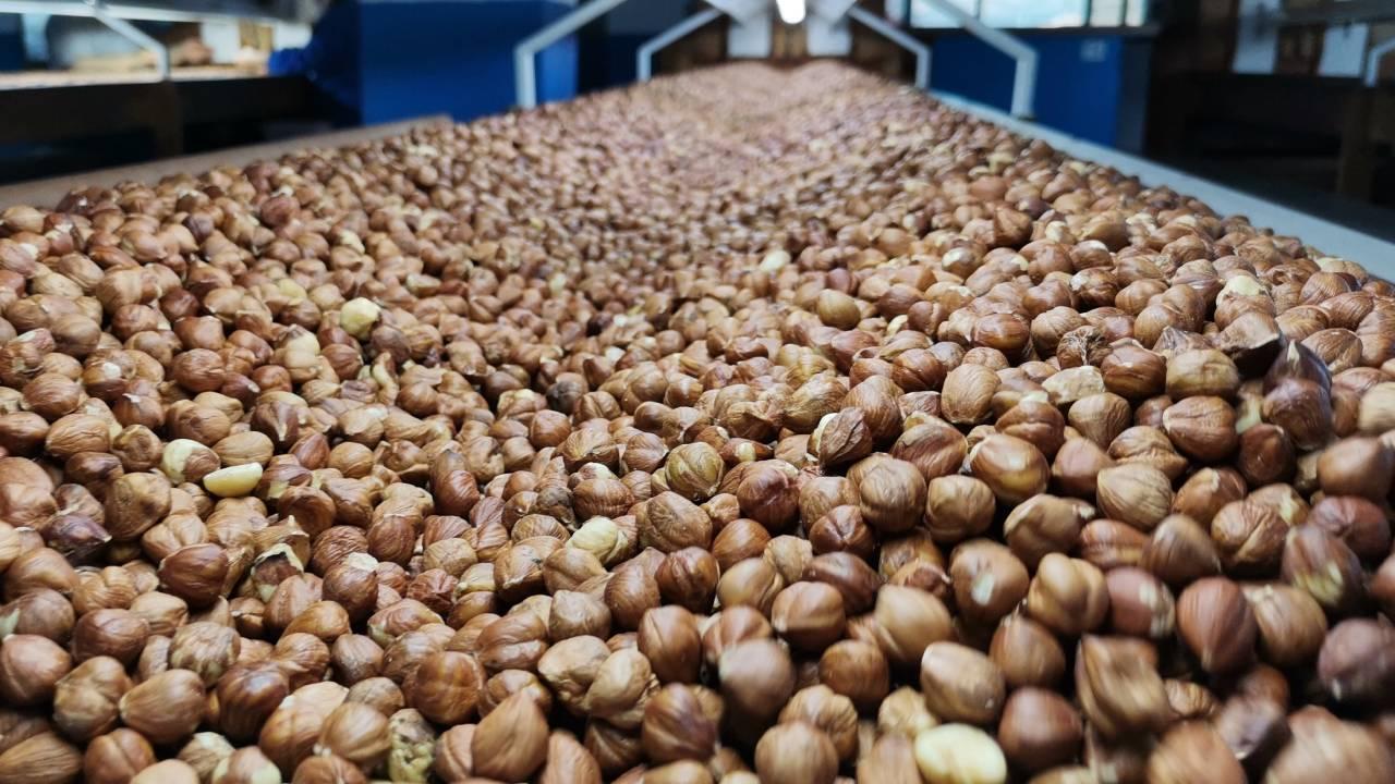 Fındık ihracatı 8 ayda 1.7 milyar dolar kazandırdı 