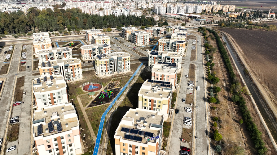COP31'e 'Anadolu Çınarı' damgası: Tüm dünyaya ihraç edilecek! Hatay'da ilan edildi