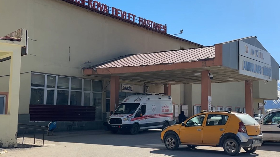 Hakkari'de yaylada patlama: Çoban yaralandı üç koyun telef oldu