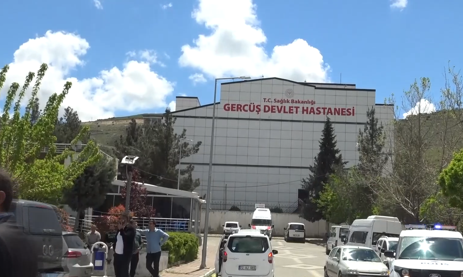 Piknikte akrep paniği: Kadın hastanelik oldu