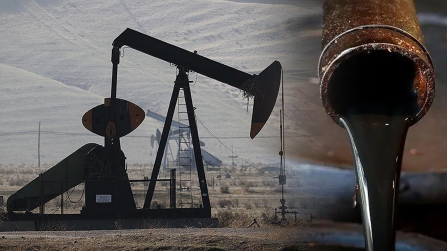 Türkiye yatırımın yarısını petrol merkezine yaptı! Türklere davet: İşbirliği için pek çok alan var