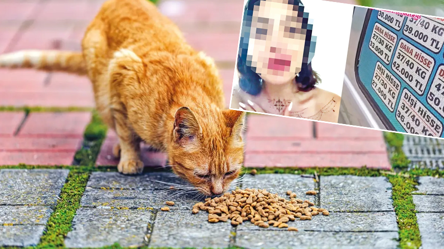 Mama lobisinin yeni hedefi kurban! Skandal çağrıya tepki yağdı