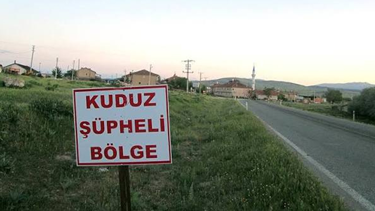 Kuduz vakası nedeniyle ilçe karantinaya alındı