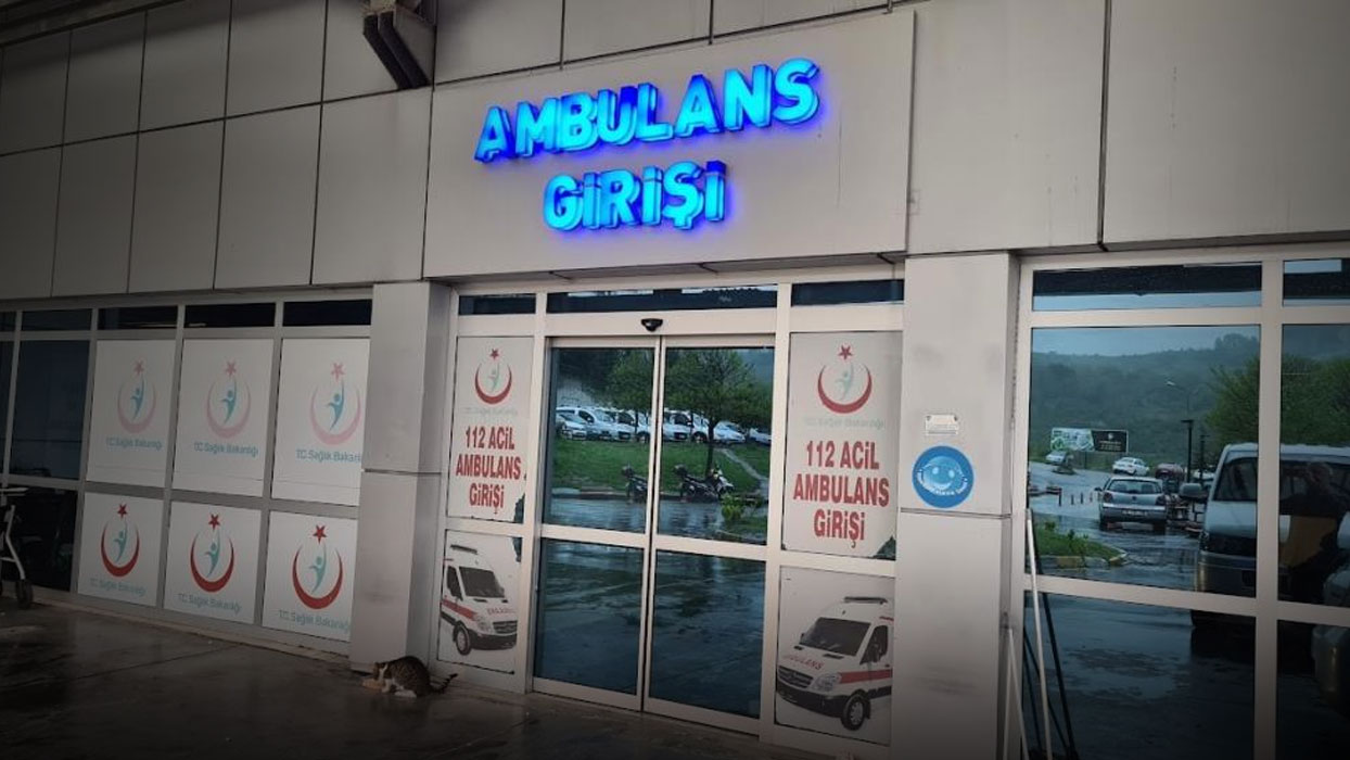 Ereğli'de arı faciası: Alerjisi olan kadın hastaneye kaldırıldı