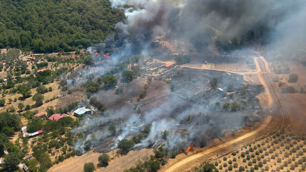 Fethiye'de orman yangını çıktı